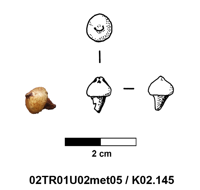 02TR01U02met05