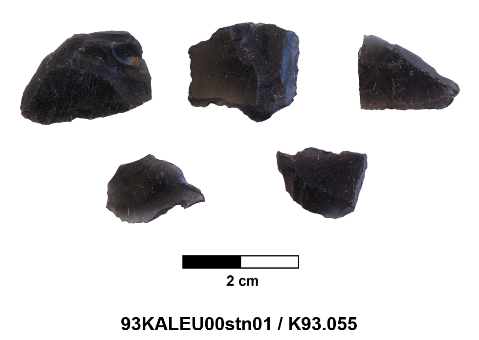 93KALEU00stn01