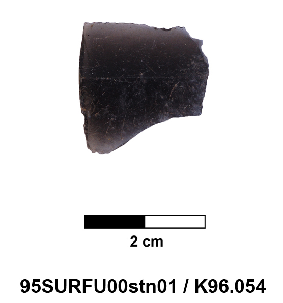 95SURFU00stn01