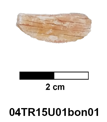 04TR15U01bon01