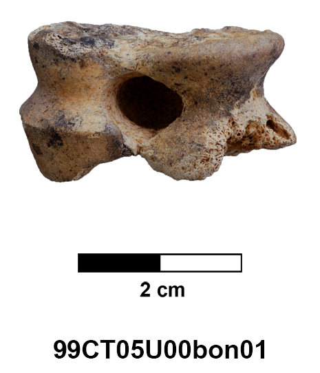 99CT05U00bon01