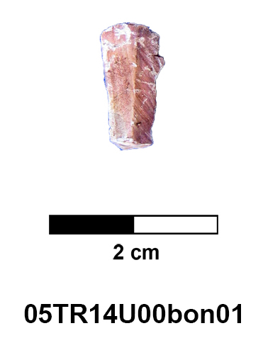 05TR14U00bon01